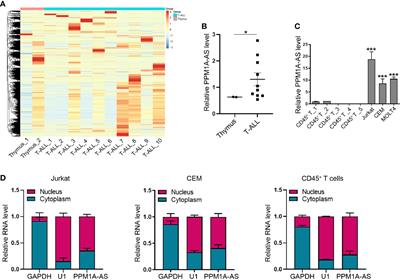 LncRNA PPM1A-AS Regulate Tumor Development Through Multiple Signal Pathways in T-Cell Acute Lymphoblastic Leukemia